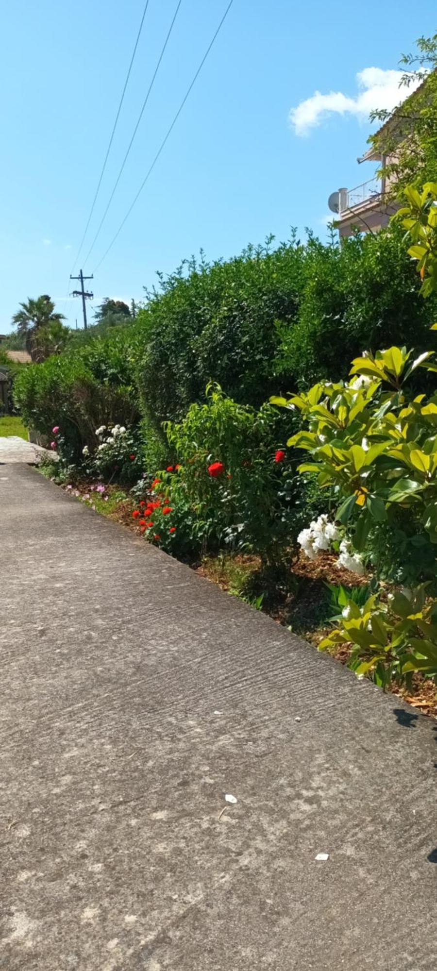 גאוביה Dimitra Apartments G מראה חיצוני תמונה