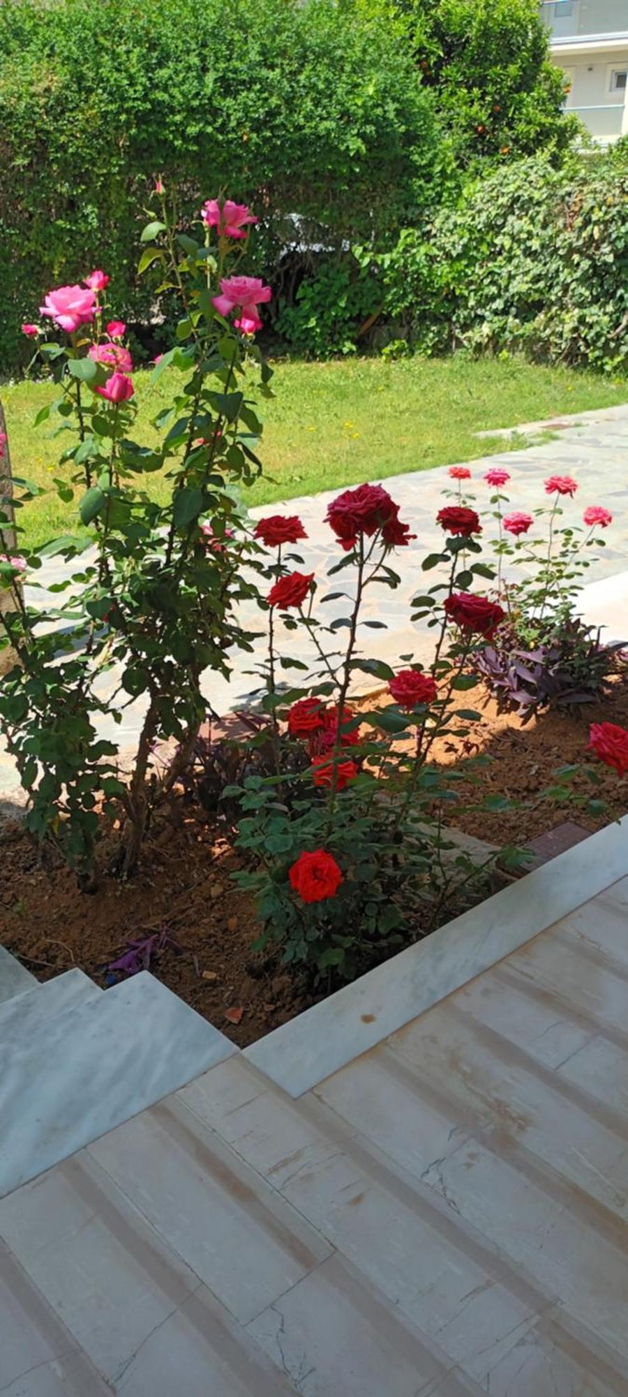גאוביה Dimitra Apartments G מראה חיצוני תמונה